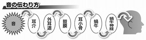 wm2016.3.24 2.jpg